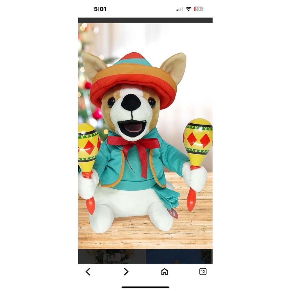 Chuey Bamba , Chihuahua Dressed In Mirachi Attire Sings LaBamba And Shakes Marac